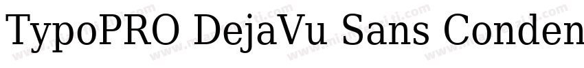 TypoPRO DejaVu Sans Condensed Bold字体转换